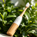 Eco-friendly Wooden Electric Toothbrush